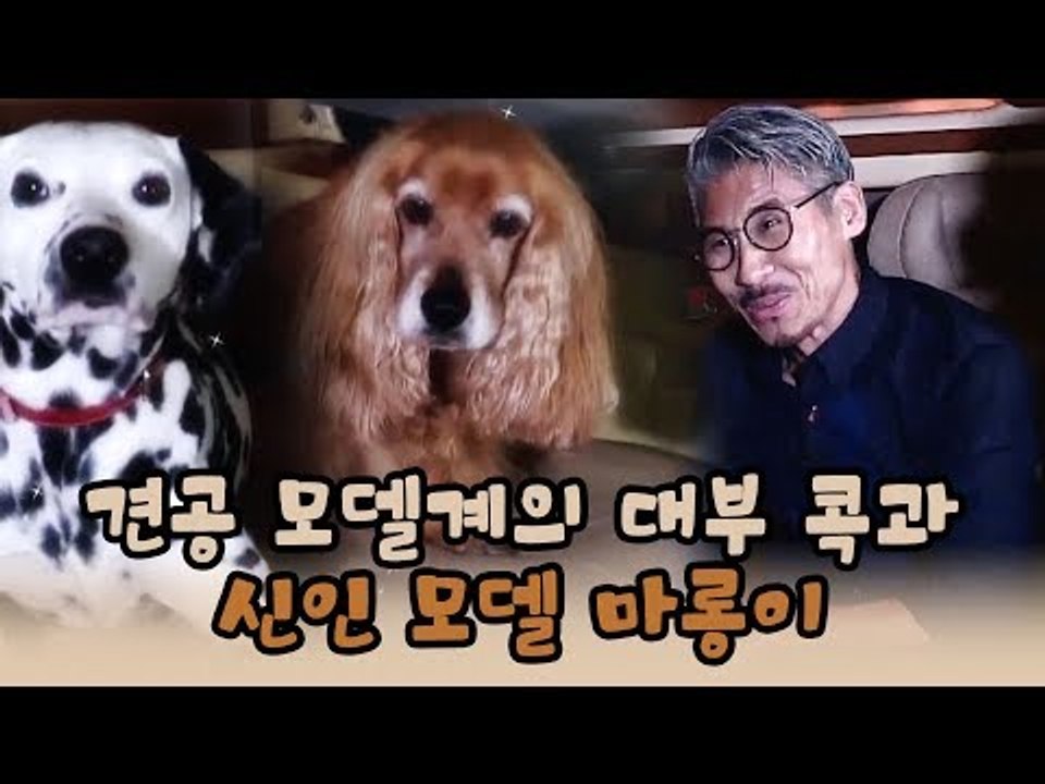 윤형빈, 견공 모델계의 대부를 만나다! [윤형빈의 팔도견문록 시즌2] 2회