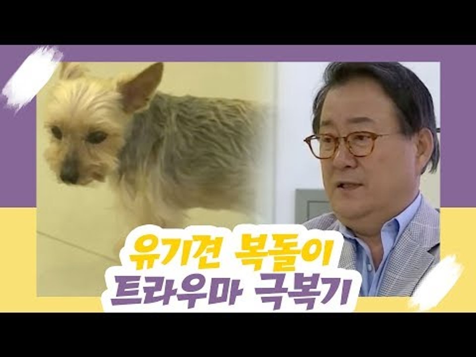 유기견 복돌이의 트라우마 극복기 [오 마이 펫] 3회