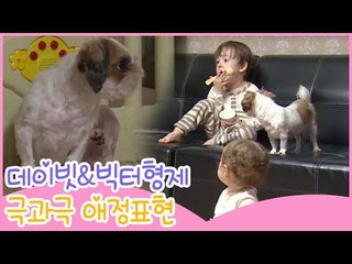 데이빗·빅터 형제, 극과 극 애정표현 [땡큐 베이비 독] 2회