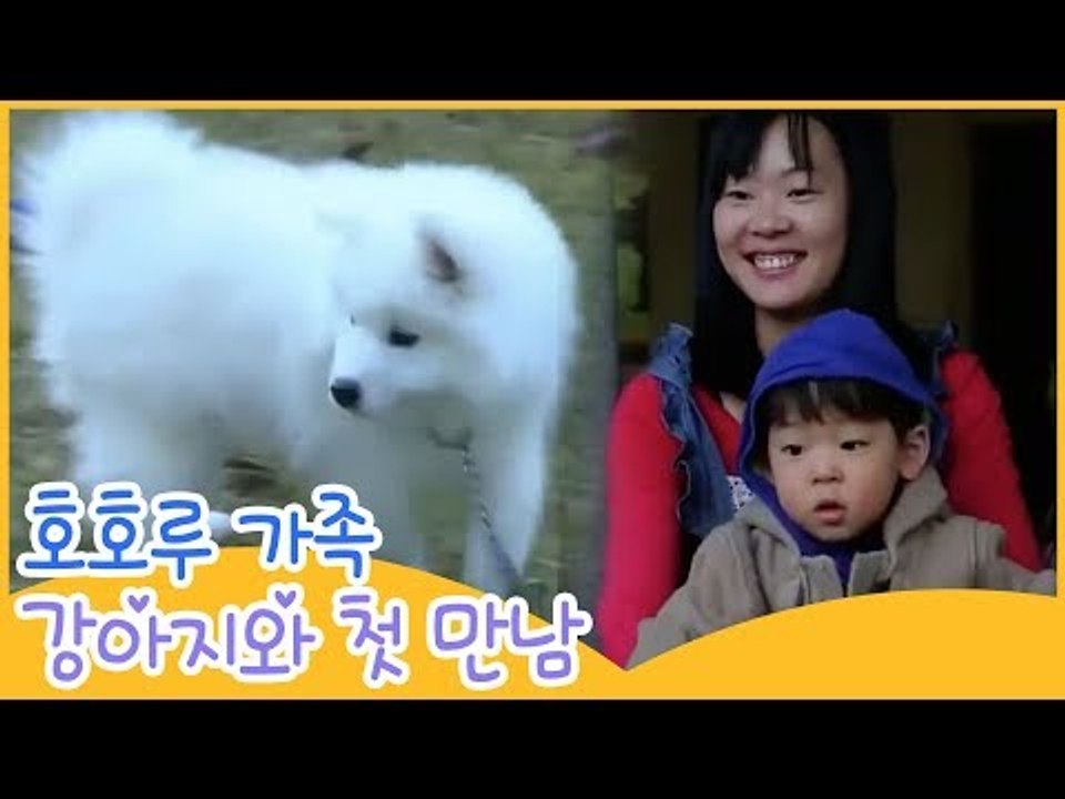 호호루 가족 강아지와 첫 만남 [땡큐 베이비 독] 6회