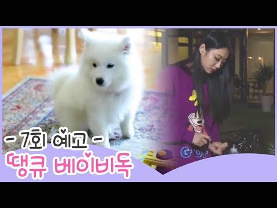 [7회 예고] 땡큐 베이비 독, 개구쟁이 뭉치! 진짜 강아지가 되다?