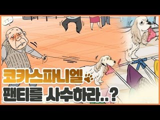 코카스파니엘 팬티를 사수하라! [펫 닥터스] 7회