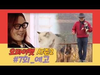 [7회 예고] 두 고양이 집사? 김종서의 육묘일기 [오 마이 펫]