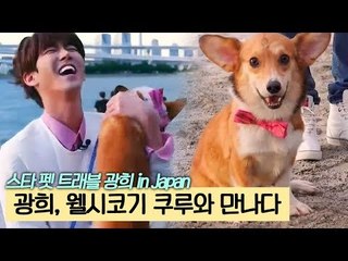 광희, 웰시코기 쿠루와 만나다 [스타 펫 트래블 광희 in Japan] 1회