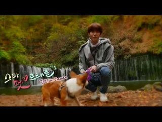 [2회 예고] 광희와 쿠루의 힐링여행 [스타 펫 트래블 광희 in Japan]