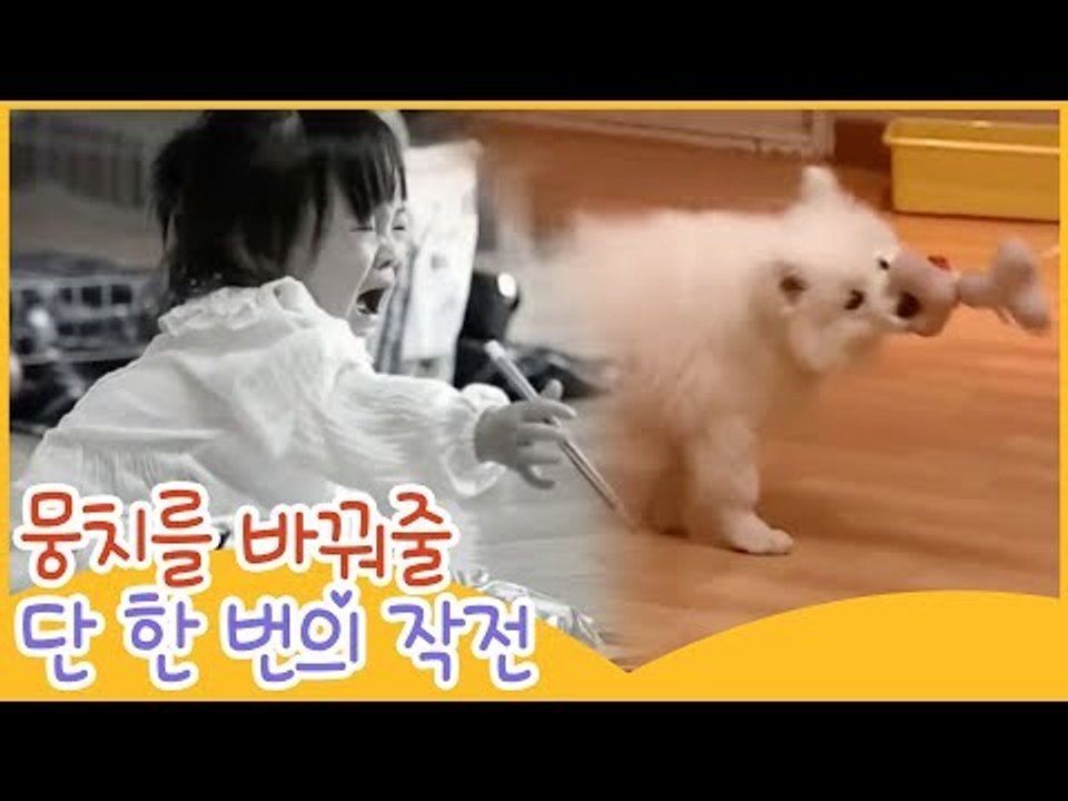 뭉치를 바꿔줄 단 한 번의 작전 [땡큐 베이비 독] 7회