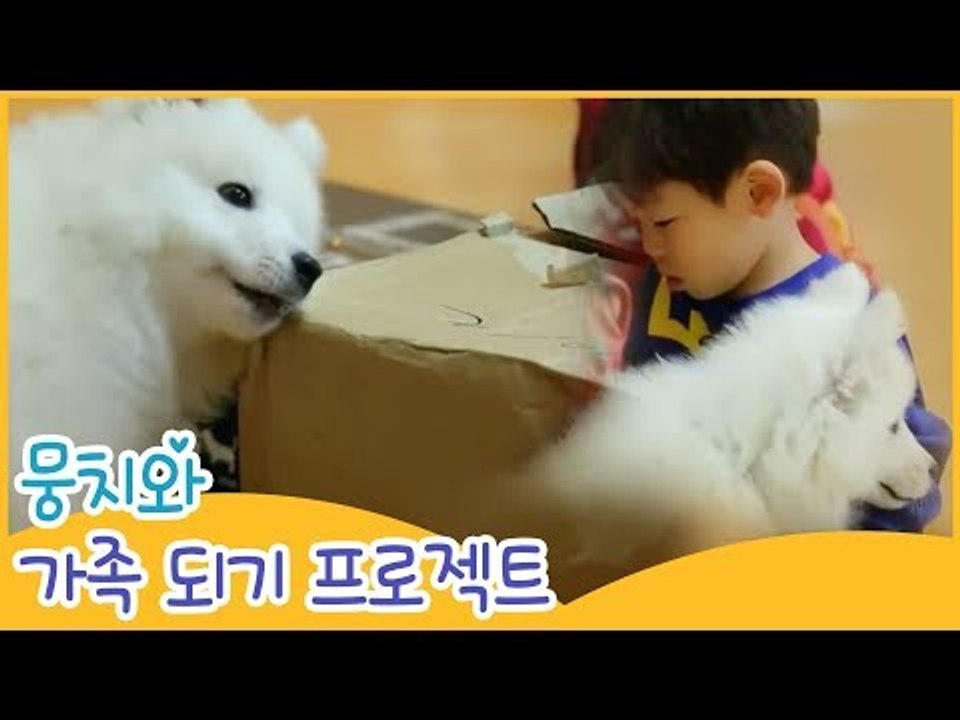 뭉치와 가족 되기 프로젝트 [땡큐 베이비 독] 7회
