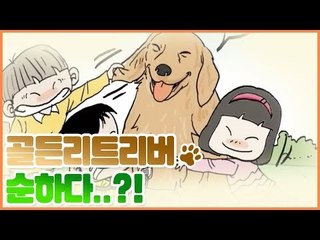 골든 레트리버는 순하다? [펫 닥터스] 11회