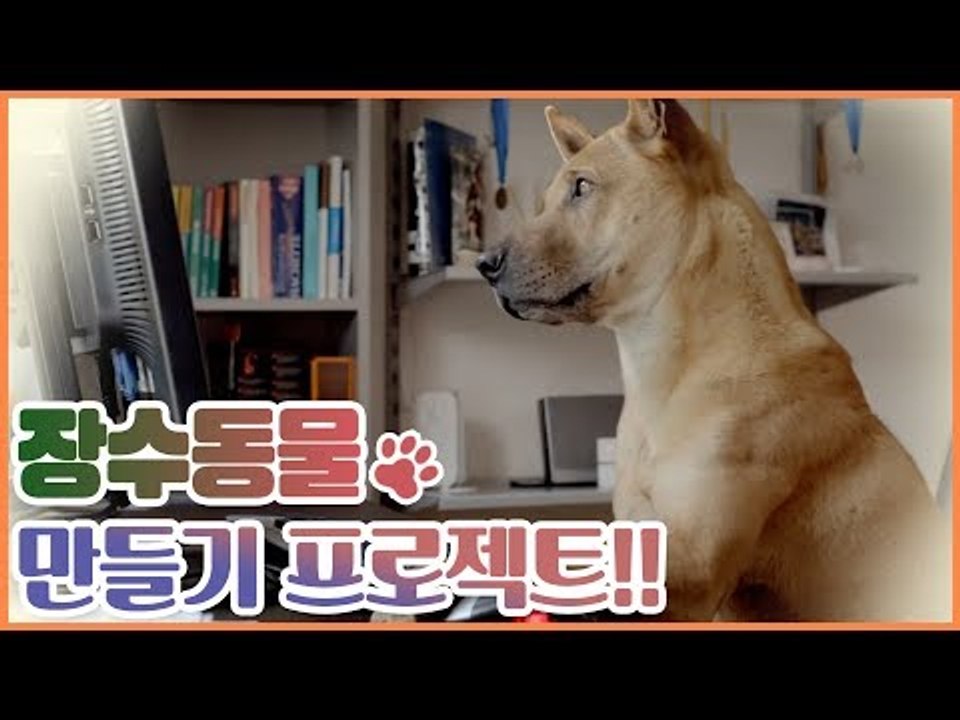 [12회 예고] 장수동물 만들기 프로젝트! [펫 닥터스]