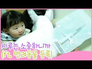 시루는 소중하니까! [땡큐 베이비 독] 12회