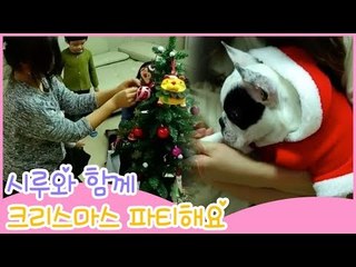 시루와 함께 크리스마스 파티해요! [땡큐 베이비 독] 11회