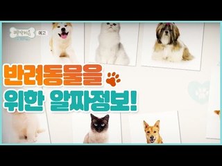 [3회 예고] 펫 닥터스 시즌2, 4월 15일 (수) 밤 11시