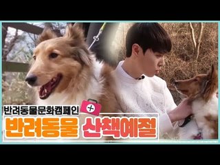 함께해요 반려동물 캠페인, 산책예절 [펫 닥터스 시즌2] 1회