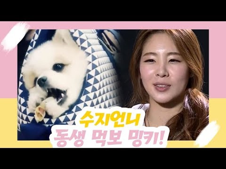 신수지 반려견, 먹보 밍키를 소개합니다! [오 마이 펫 시즌2] 1회