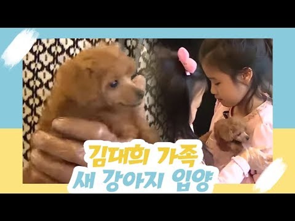 김대희 가족, 새 강아지 입양하다 [오 마이 펫 시즌2] 5회