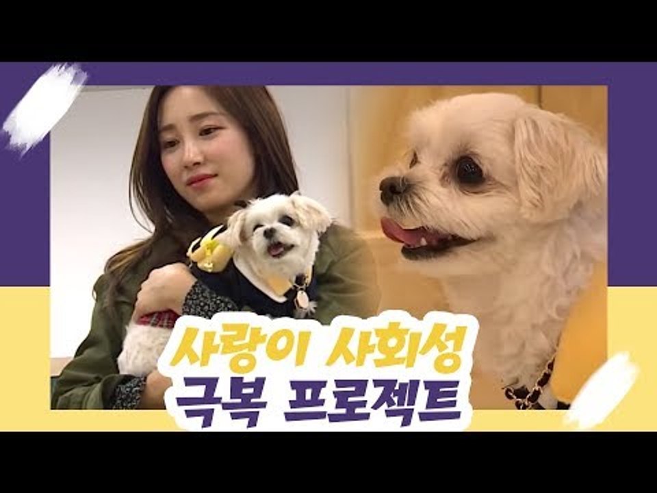 하랑이 사회성 극복 프로젝트! [오 마이 펫 시즌2] 5회