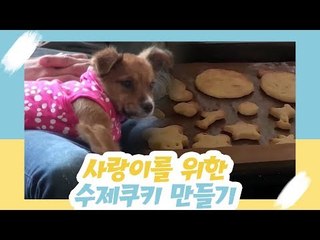 사랑이를 위한 쿠키 만들기 [오 마이 펫 시즌2] 3회