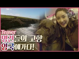[예고] 스타 펫 트래블 바다 in 영국, 명견의 본고장 영국으로 간다!