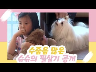 수줍음 많은 슈슈의 필살기 공개! [오 마이 펫 시즌2] 9회