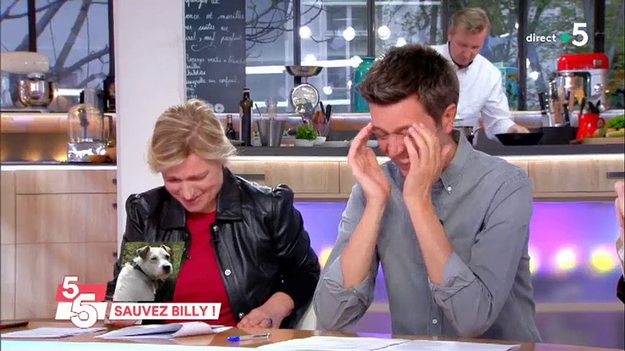 Fou rire sur le plateau de "C à vous" quand Maxime Switek évoque l'histoire de Billy le chien - Regardez