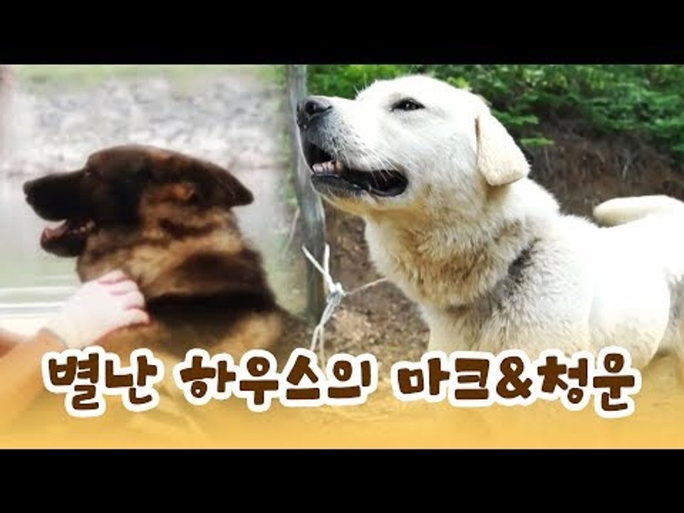 첩첩산중! 별난 하우스의 마크&청운 [윤형빈의 팔도견문록] 4회