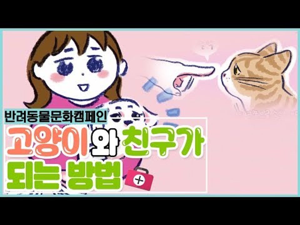 함께해요 반려동물 캠페인, 고양이와 친구되기 [펫 닥터스 시즌2] 7회