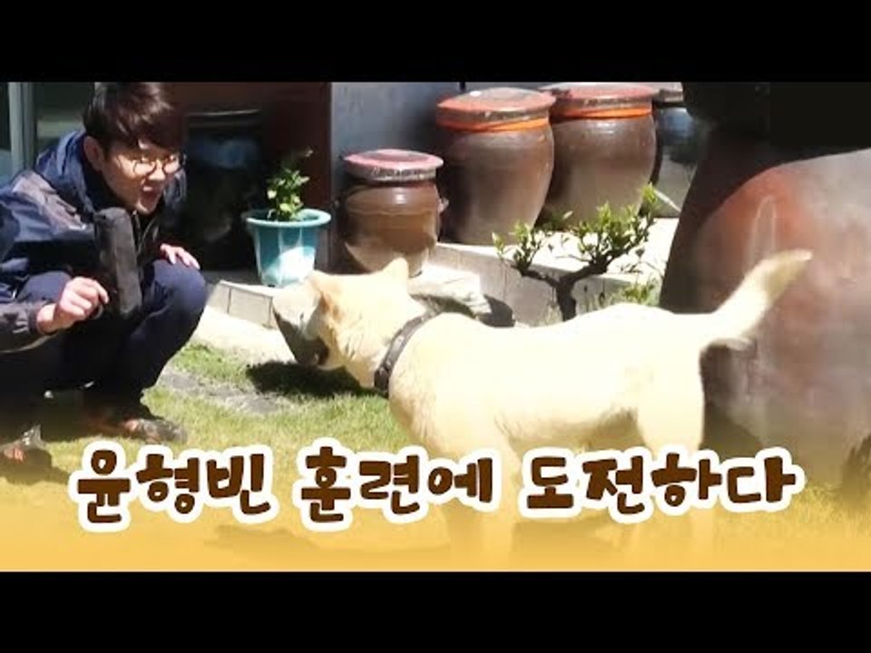 초보 훈련사 윤형빈, 이화 훈련에 도전하다 [윤형빈의 팔도견문록] 4회