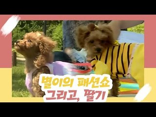 별이의 패션쇼! 그리고, 딸기! [오 마이 펫 시즌2] 11회