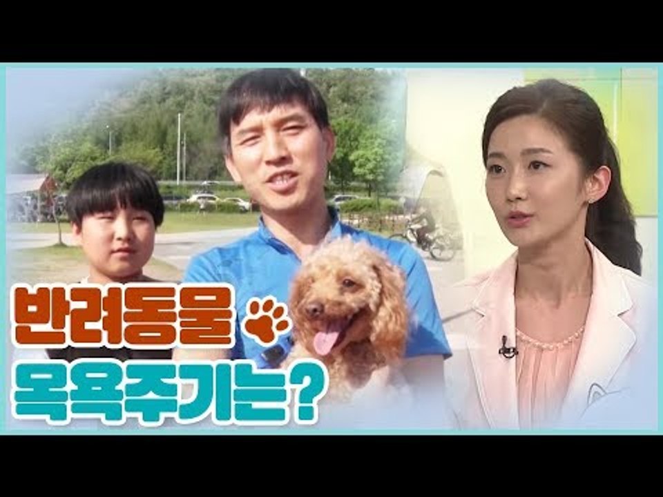 반려동물의 목욕 주기 어느 정도가 적당? [펫 닥터스 시즌2] 12회