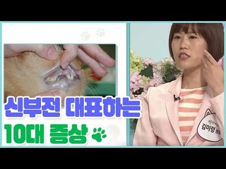 신부전 대표하는 10대 증상 [펫 닥터스 시즌2] 10회