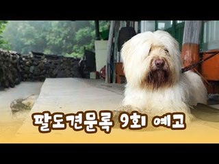 [9회 예고] 윤형빈의 팔도견문록, 7월 13일 (월) 밤 11시