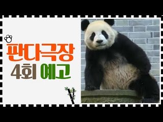 [4회 예고] 판다극장, 7월 3일 (금) 밤 11시