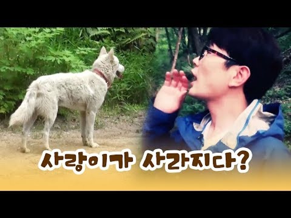 수목원의 안내견, 사랑이가 사라지다?! [윤형빈의 팔도견문록] 7회