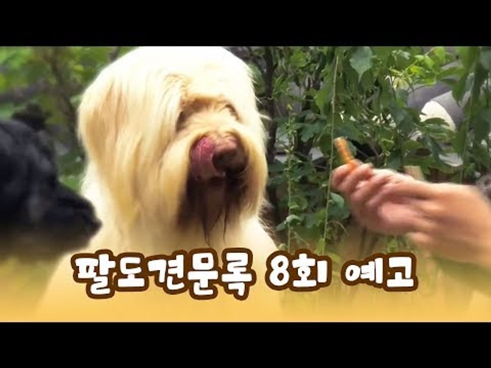 [8회 예고] 윤형빈의 팔도견문록, 7월 6일 (월) 밤 11시