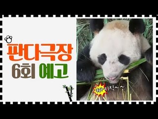 [6회 예고] 판다극장, 7월 17일 (금) 밤 11시
