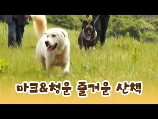 마크와 청운이가 함께하는 즐거운 산책 [윤형빈의 팔도견문록] 5회