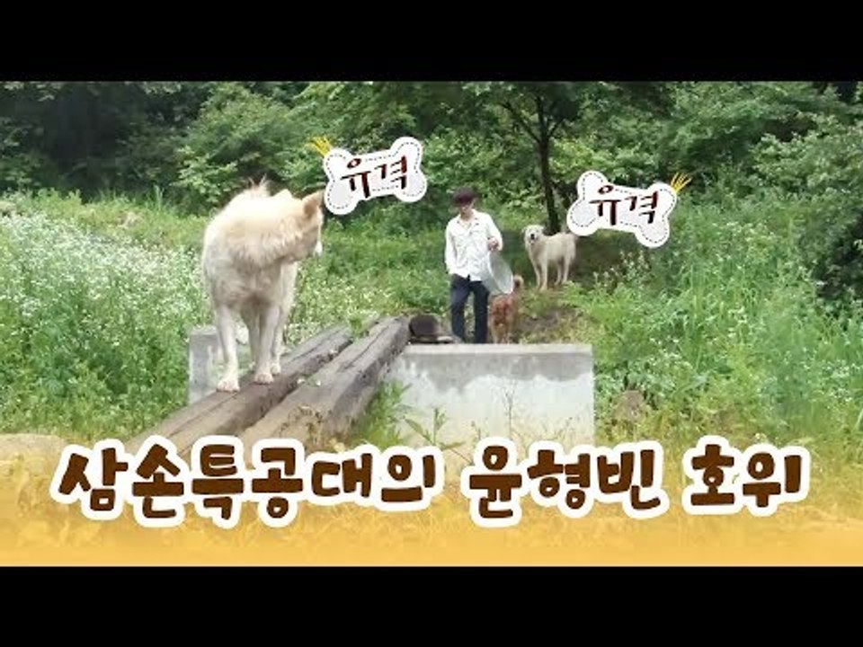 삼손 특공대의 윤형빈 호위 대작전 [윤형빈의 팔도견문록] 10회