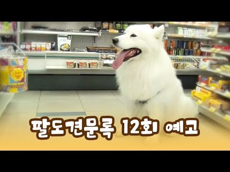 [12회 예고] 윤형빈의 팔도견문록, 8월 3일 (월) 밤 11시