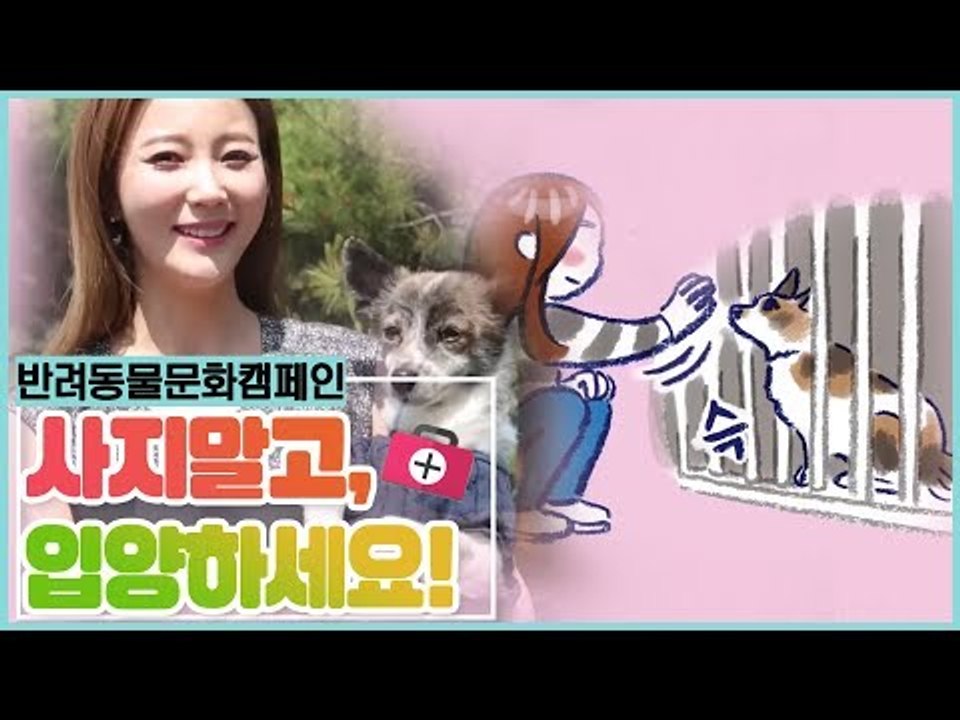 함께해요 반려동물 캠페인, 사지 말고 입양하세요 [펫 닥터스 시즌2] 12회
