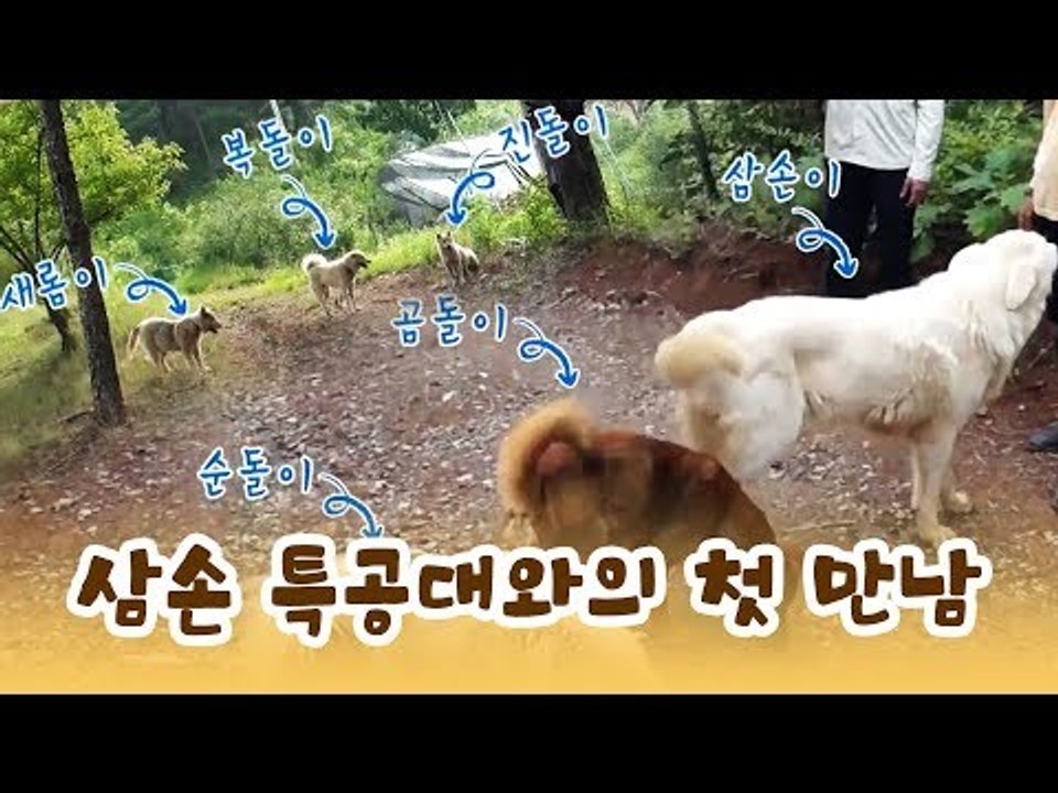 과수원 보디가드, 삼손 특공대와의 첫 만남! [윤형빈의 팔도견문록] 10회