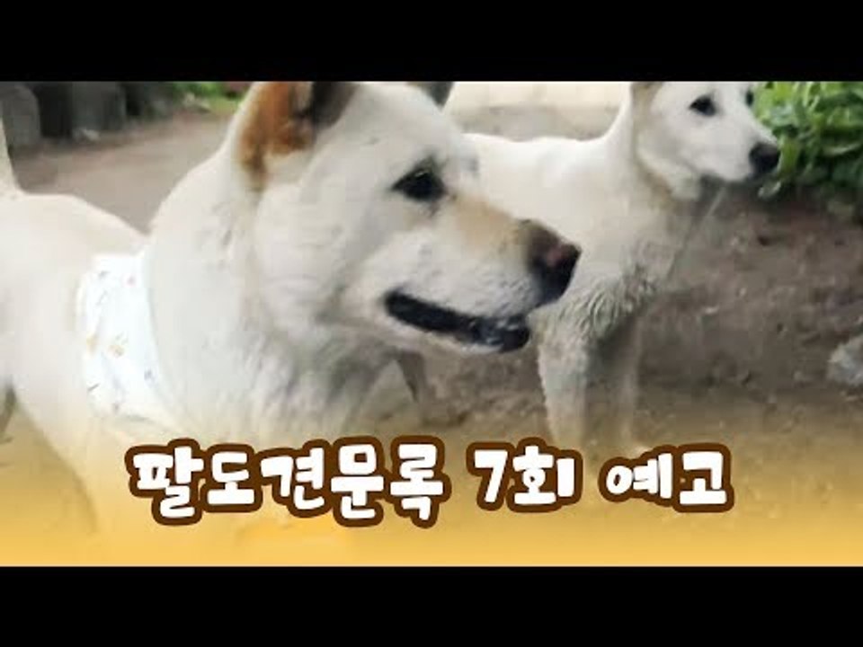 [7회 예고] 윤형빈의 팔도견문록, 6월 29일 (월) 밤 11시