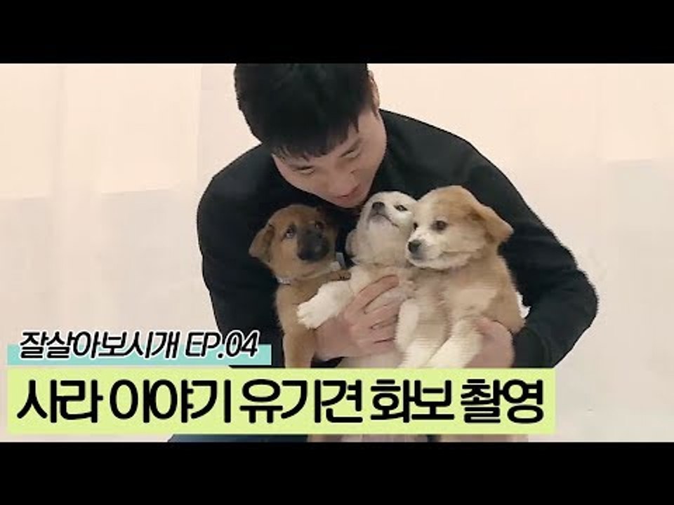 사라 이야기 프로젝트 유기견 화보 촬영 [잘살아보시개 시즌2] 4회