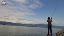 ４月　琵琶湖　ヘビキャロでついにデカバス来た！バス釣り　At last Lake Biwa Lake Decabas finally came! ?