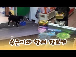천재견 수근이와 함께 장보기 [윤형빈의 팔도견문록] 11회