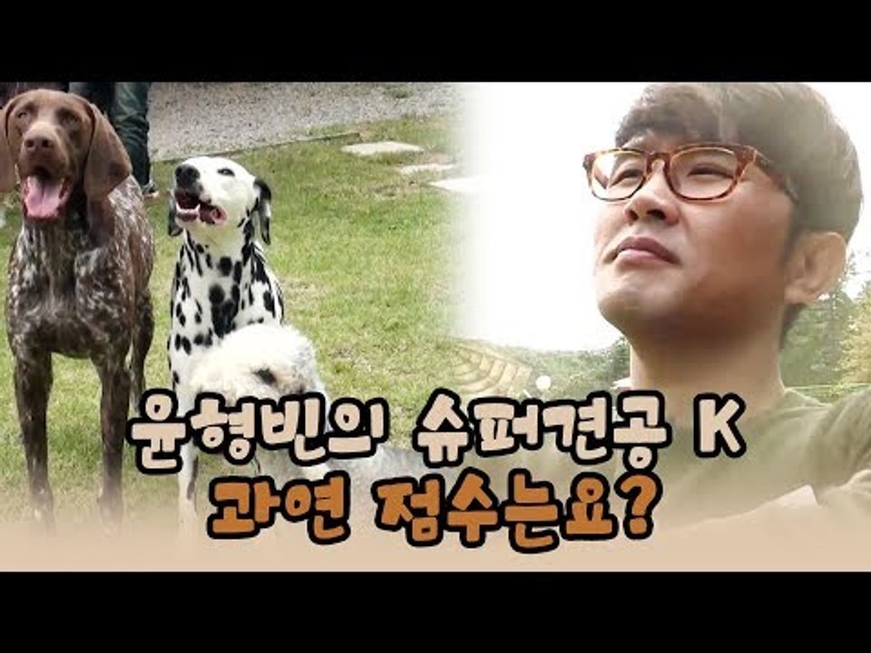 윤형빈의 슈퍼견공 K! 제 점수는요? [윤형빈의 팔도견문록 시즌2] 2회