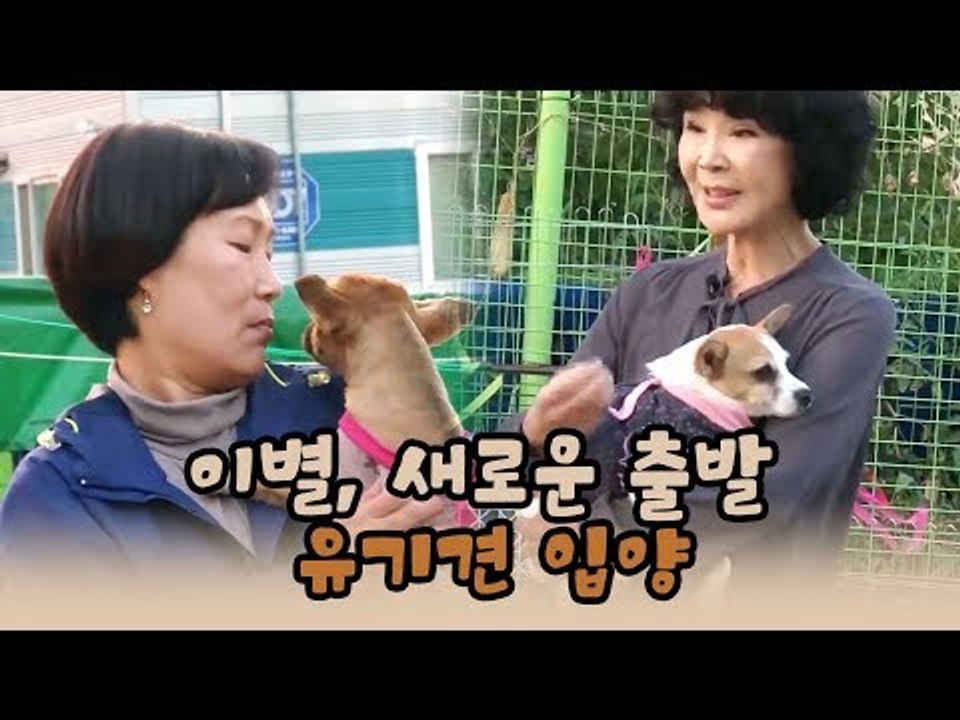 이별… 그리고 새로운 출발, 유기견 입양 [윤형빈의 팔도견문록 시즌2] 5회