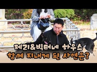 제리&빅터네 하우스, 함께 지내게 된 사연은? [윤형빈의 팔도견문록 시즌2] 6회