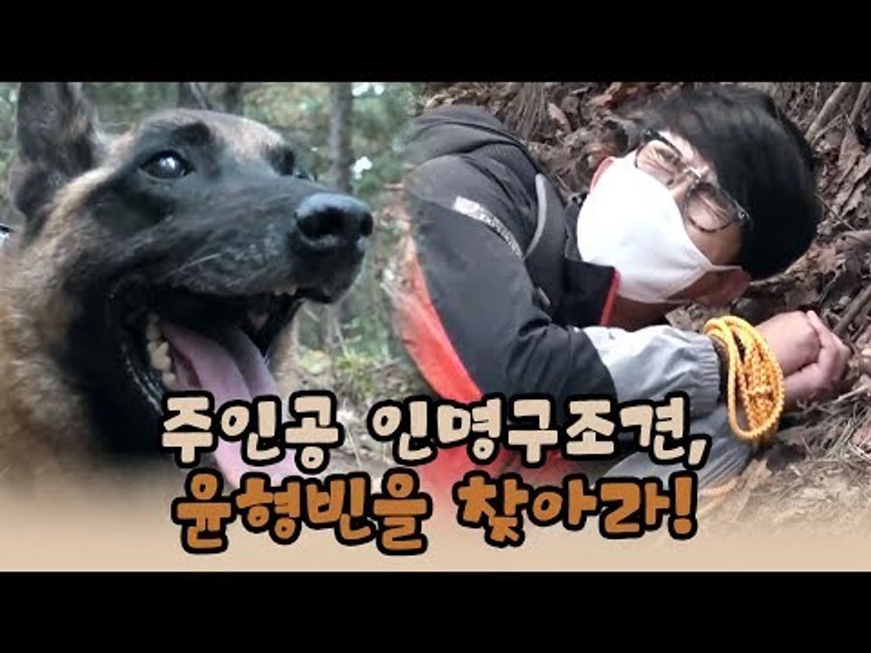 오늘의 주인공 인명구조견, 윤형빈을 찾아라! [윤형빈의 팔도견문록 시즌2] 7회