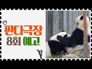 [8회 예고] 판다극장, 7월 31일 (금) 밤 11시