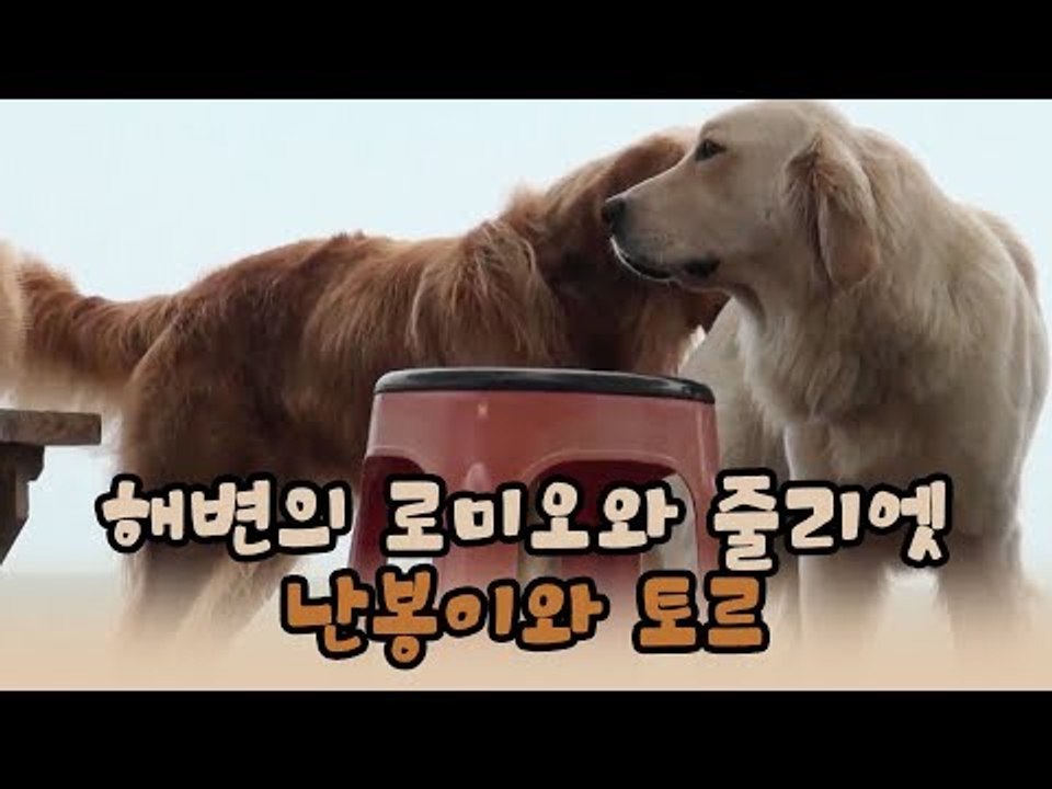 해변의 로미오와 줄리엣, 난봉이와 토르 [윤형빈의 팔도견문록 시즌2] 1회